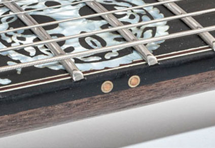 STAINLESS STEEL FRETS & BRASS SIDE DOTS